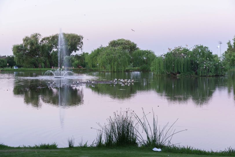 conference 2017 image100